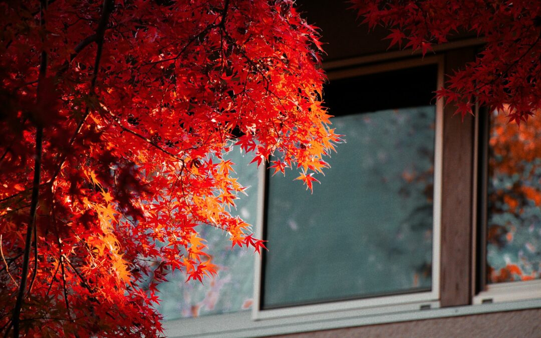 Nullam tristique at ligula at faucibus maecenas efficitur